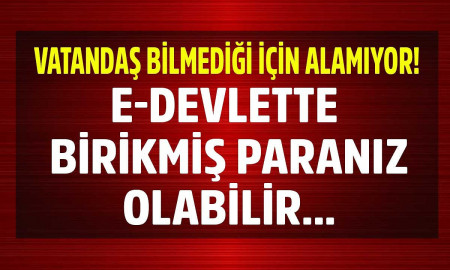 E-DEVLET BİRİKMİŞ PARA NASIL ALINIR ??