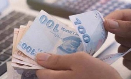 Devlet destekli aile destek programı ödemeleri 850 lira ila 1250 liralık maddi yardım.